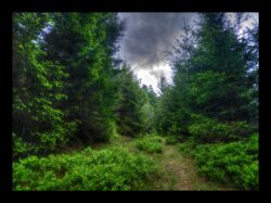 Début de la descente vers Petersmuehl
