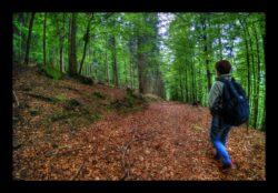 Dans la descente vers Petersmuehl