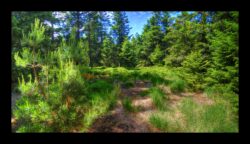 INSTA3601_1.702040_7902.758_7902.758_4120.863_3054.194_-0.452_0.126_89.836_0.000000_0.000000_0.000000_1.04555500_-1.96770263_5.23186493_0.00000000_0.00000000_8192_6144_126_197632 0.014648_-0.001953_0.000000_0.244141_0.244141_0.061035