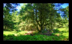 INSTA3601_1.702040_7902.758_7902.758_4120.863_3054.194_-0.452_0.126_89.836_0.000000_0.000000_0.000000_1.04555500_-1.96770263_5.23186493_0.00000000_0.00000000_8192_6144_126_197632 0.014648_-0.001953_0.000000_0.244141_0.244141_0.061035