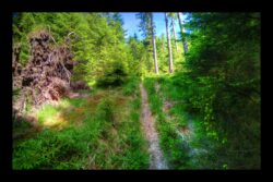 INSTA3601_1.702040_7902.758_7902.758_4120.863_3054.194_-0.452_0.126_89.836_0.000000_0.000000_0.000000_1.04555500_-1.96770263_5.23186493_0.00000000_0.00000000_8192_6144_126_197632 0.014648_-0.001953_0.000000_0.244141_0.244141_0.061035