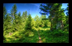 INSTA3601_1.702040_7902.758_7902.758_4120.863_3054.194_-0.452_0.126_89.836_0.000000_0.000000_0.000000_1.04555500_-1.96770263_5.23186493_0.00000000_0.00000000_8192_6144_126_197632 0.014648_-0.001953_0.000000_0.244141_0.244141_0.061035