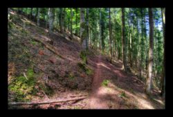 INSTA3601_1.702040_7902.758_7902.758_4120.863_3054.194_-0.452_0.126_89.836_0.000000_0.000000_0.000000_1.04555500_-1.96770263_5.23186493_0.00000000_0.00000000_8192_6144_126_197632 0.014648_-0.001953_0.000000_0.244141_0.244141_0.061035