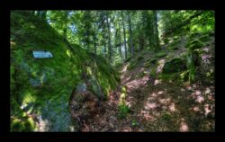 INSTA3601_1.702040_7902.758_7902.758_4120.863_3054.194_-0.452_0.126_89.836_0.000000_0.000000_0.000000_1.04555500_-1.96770263_5.23186493_0.00000000_0.00000000_8192_6144_126_197632 0.014648_-0.001953_0.000000_0.244141_0.244141_0.061035