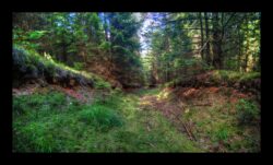 INSTA3601_1.702040_7902.758_7902.758_4120.863_3054.194_-0.452_0.126_89.836_0.000000_0.000000_0.000000_1.04555500_-1.96770263_5.23186493_0.00000000_0.00000000_8192_6144_126_197632 0.014648_-0.001953_0.000000_0.244141_0.244141_0.061035