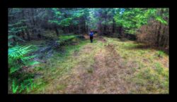 INSTA3601_1.702040_7902.758_7902.758_4120.863_3054.194_-0.452_0.126_89.836_0.000000_0.000000_0.000000_1.04555500_-1.96770263_5.23186493_0.00000000_0.00000000_8192_6144_126_197632 0.014648_-0.001953_0.000000_0.244141_0.244141_0.061035