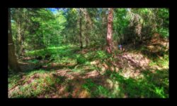 INSTA3601_1.702040_7902.758_7902.758_4120.863_3054.194_-0.452_0.126_89.836_0.000000_0.000000_0.000000_1.04555500_-1.96770263_5.23186493_0.00000000_0.00000000_8192_6144_126_197632 0.014648_-0.001953_0.000000_0.244141_0.244141_0.061035