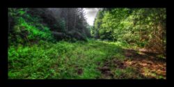 INSTA3601_1.702040_7902.758_7902.758_4120.863_3054.194_-0.452_0.126_89.836_0.000000_0.000000_0.000000_1.04555500_-1.96770263_5.23186493_0.00000000_0.00000000_8192_6144_126_197632 0.014648_-0.001953_0.000000_0.244141_0.244141_0.061035