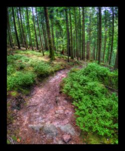 Dans la montée après le départ aux 2 rivières