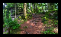 Vers le Grand Rommelstein