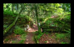 Vers le Grand Rommelstein