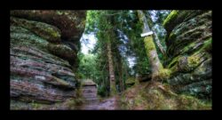 Dabo - Au pied des rochers d'Urstein
