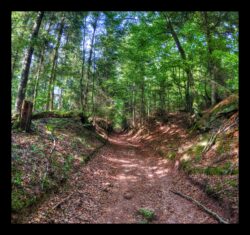 Montée vers la Croix Guillaume depuis les 4 Chemins