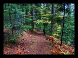 Descente du vallon de Traubachthal