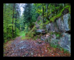Arrivée du sentier