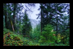 La Vallée de la Zorn sous la pluie