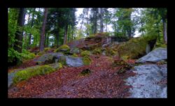 Les rochers du Schanzkopf
