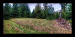 Sur le Michelskopf