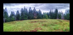 Sur le Michelskopf