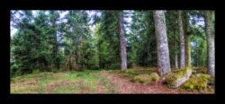 Sur le Michelskopf