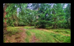 Sur le Michelskopf
