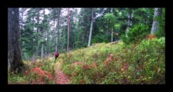 Descente vers Petersmuehl