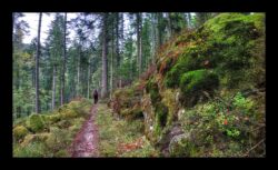 Descente vers Petersmuehl